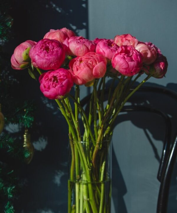 Bouquet di Peonie